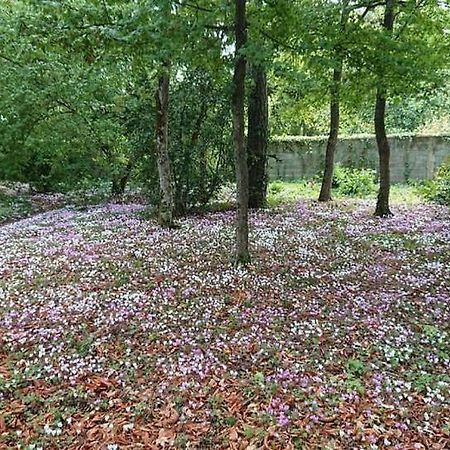 Le Buisson Hotel Montlouis-sur-Loire Eksteriør billede